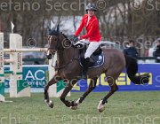 De Simone Teddy TosTour 2013- S5 7841 : Arezzo Equestrian Centre, De Simone Rossella, Teddy, Toscana Tour 2013, foto di Stefano Secchi ©
